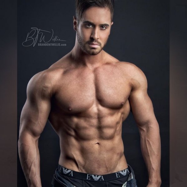 shea-muscle-model-companion-escort-2