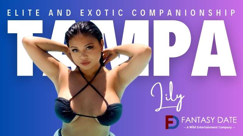 Tampa escorts companions for hire Tampa escorts companions for hire